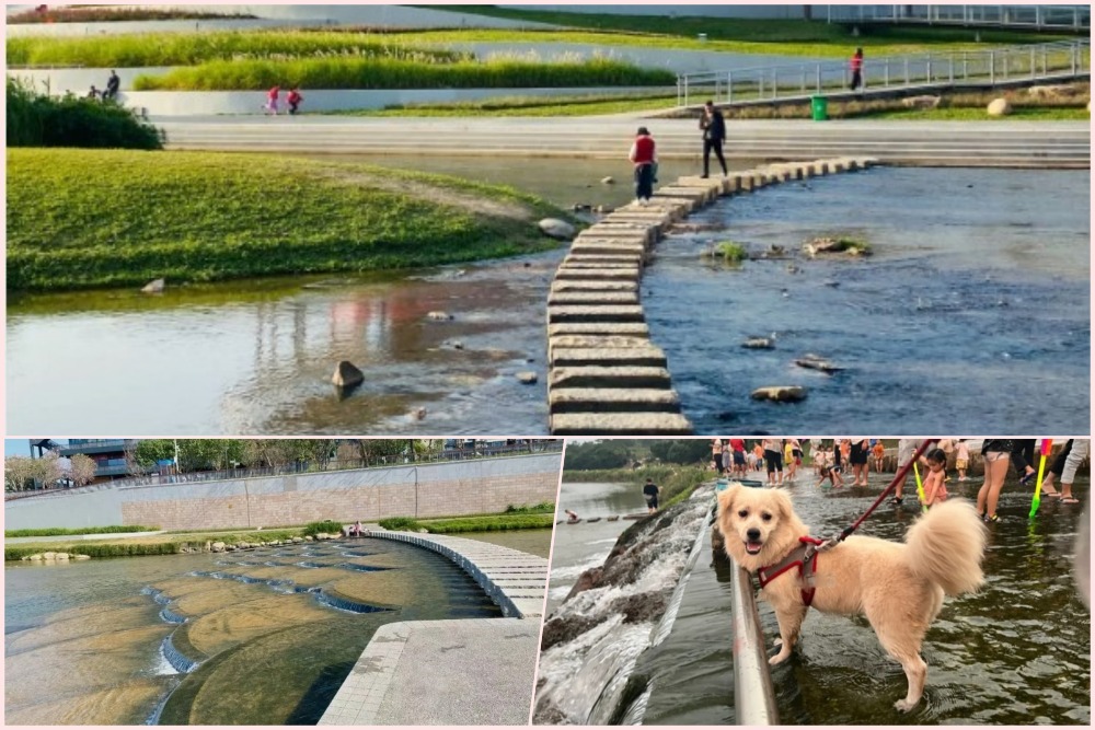 深圳龙岗河干流宠物乐园 深圳龙岗河干流宠物乐园